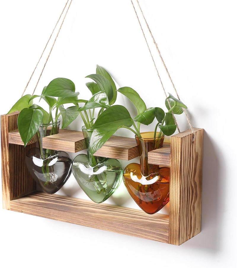 MTsigns Plant Terrarium Propagation Stations Hydroponics Home Garden Decoration Gift for Women with Wooden Stand Heart Shaped Colored Glass Vase - Image 1